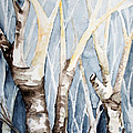 Dreaming Birch Trees